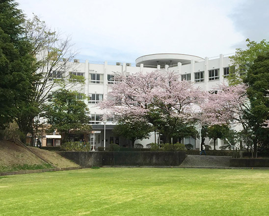 横滨美术大学