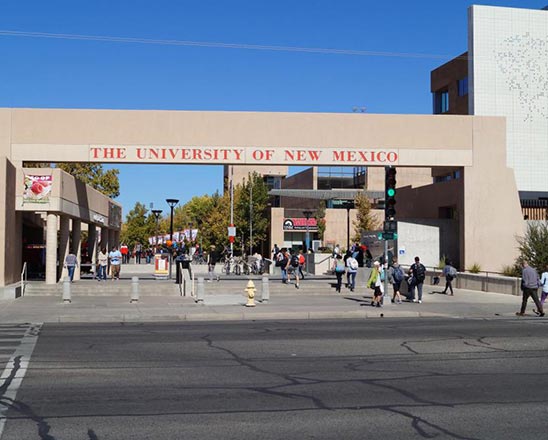 新墨西哥大学 
