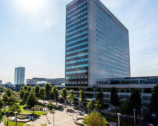 鹿特丹大学商学院图片
